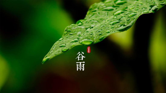 谷雨|喝一杯純凈好水，沐一場(chǎng)人間春色